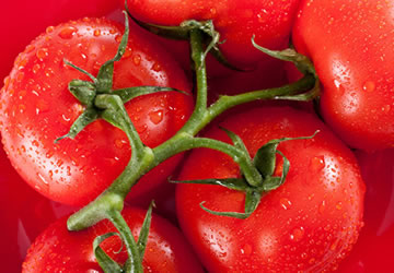  西红柿和大蒜的正确吃法 文章