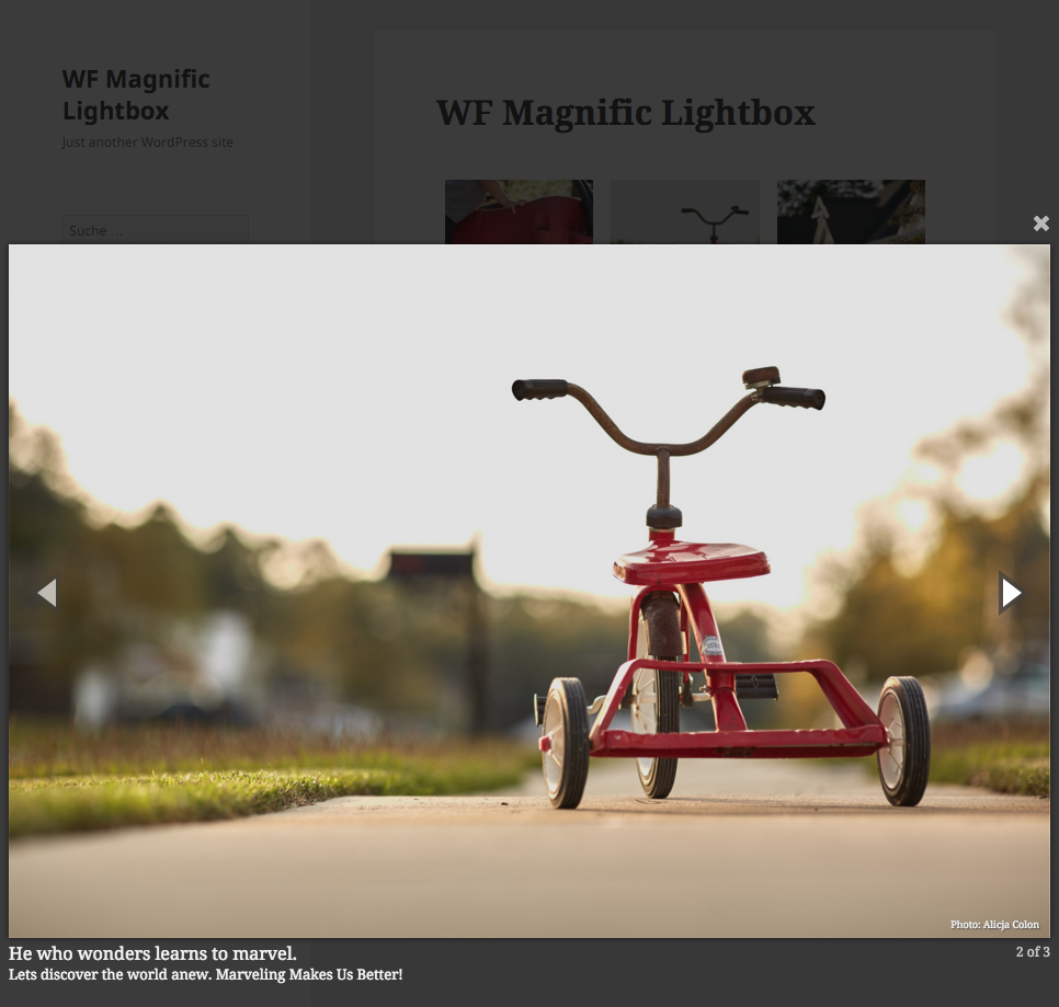 WordPress 响应式图片灯箱插件 WF Magnific Lightbox 文章 第1张